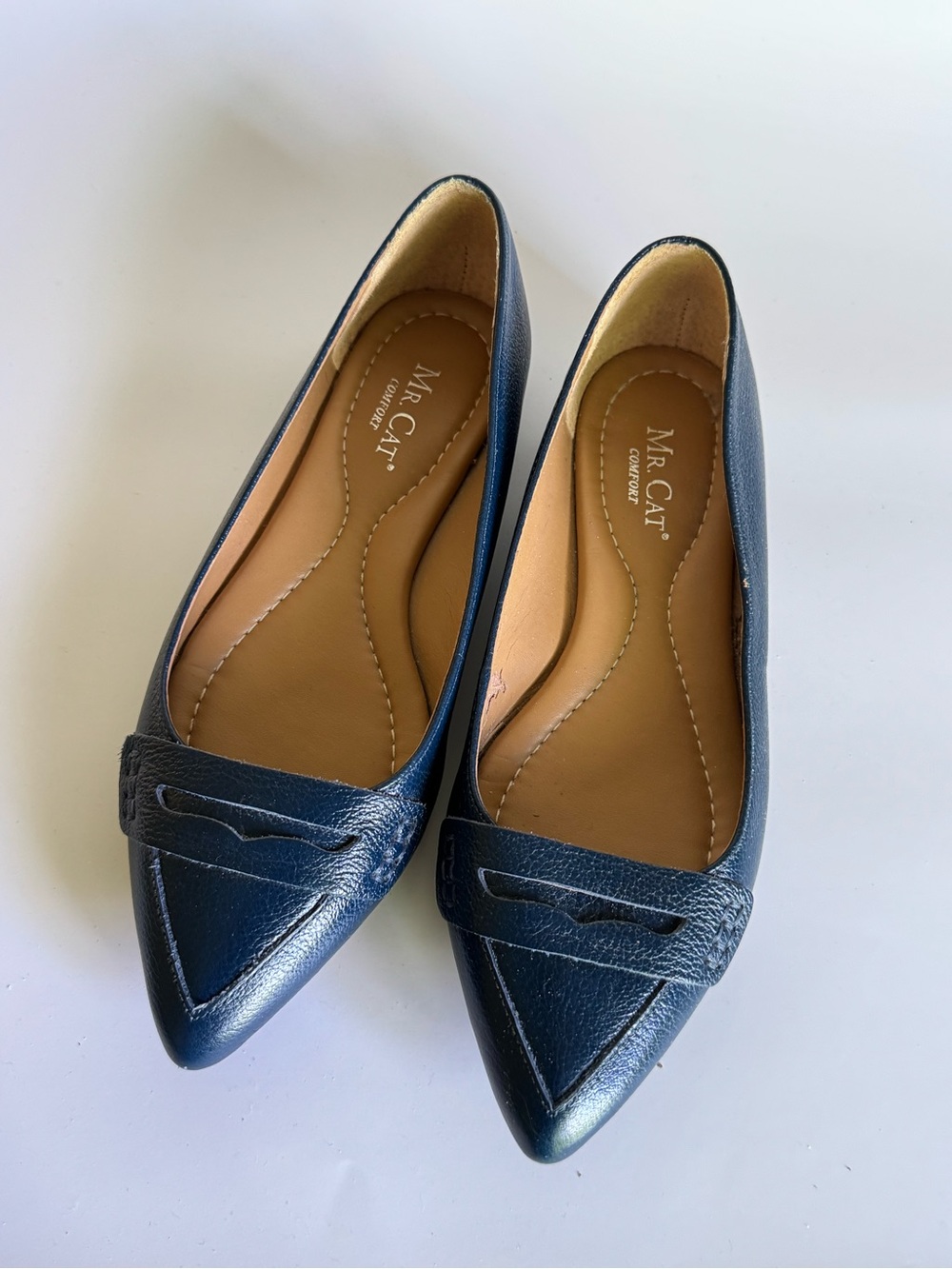 Mr. Cat Navy Pointed-Toe Leather Loafers for Women